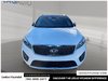 2017 Kia Sorento SX-1