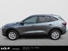 2025 Ford Escape Active-4