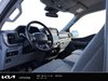 2024 Ford F-150 XLT-8