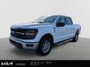 2024 Ford F-150 XLT-0