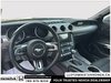 2023 Ford Mustang GT Premium-11