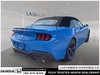 2025 Ford Mustang EcoBoost Premium-5