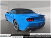 2025 Ford Mustang EcoBoost Premium-8
