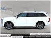 2026 Hyundai Palisade Ultimate-3