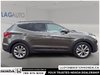 2014 Hyundai Santa Fe Sport 2.0T Limited-4