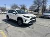 Toyota RAV4 Hybrid LE 2024-1