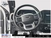 2023 Ford F-150 XLT-13