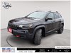 2019 Jeep Cherokee Trailhawk Elite-8