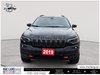 2019 Jeep Cherokee Trailhawk Elite-1