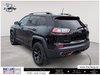2019 Jeep Cherokee Trailhawk Elite-6