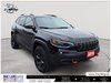 2019 Jeep Cherokee Trailhawk Elite-2