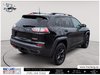 2019 Jeep Cherokee Trailhawk Elite-4