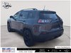 2021 Jeep Cherokee Altitude-6
