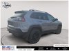 2021 Jeep Cherokee Trailhawk Elite-4