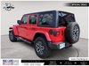 2025 Jeep Wrangler Sahara-6