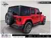 2025 Jeep Wrangler Sahara-4