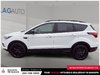 2019 Ford Escape SE-5