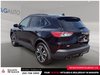 2022 Ford Escape SEL-4