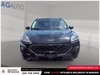 2022 Ford Escape SEL-2