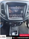 2021 Jeep Compass Trailhawk-16
