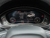 Audi Q5 Progressiv 45 TFSI quattro  TRADE IN  LOW KM 2019-10