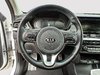 Kia Niro EV EX PREMIUM 2020-11
