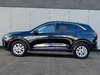 2024 Ford Escape Active-4