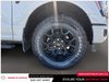 2024 Ford F-150 XLT-5
