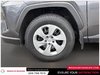 2024 Toyota RAV4 LE-30