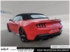 2025 Ford Mustang EcoBoost Premium-1