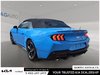 2025 Ford Mustang EcoBoost Premium-1