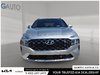 2021 Hyundai Santa Fe Ultimate-5