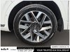 2023 Hyundai Santa Fe Ultimate-6