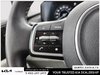 2024 Kia Carnival EX-12
