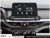 2020 Kia Forte EX-14