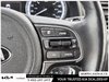 2019 Kia Niro L-12