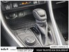2024 Toyota RAV4 Hybrid XLE-17