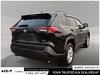 2019 Toyota RAV4 XLE-3