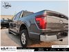 2024 Ford F-150 XLT-7