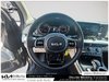 2024 Kia Carnival LX-14