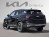 2026 Kia Sportage HEV EX-3
