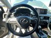 2022 Lexus RX 350-9