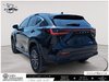 2022 Lexus NX 450h+-3