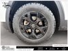 2024 Volkswagen Atlas Peak Edition-3