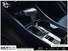 2024 Hyundai Santa Cruz Trend-14