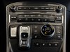 2023 Hyundai Santa Fe Ultimate Calligraphy-20
