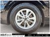 2024 Kia Carnival LX-6