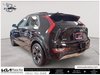 2025 Kia Niro EV Wave-3