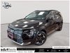 2025 Kia Niro EV Wave-0