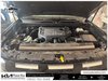 2026 Nissan Armada PRO-4X-6